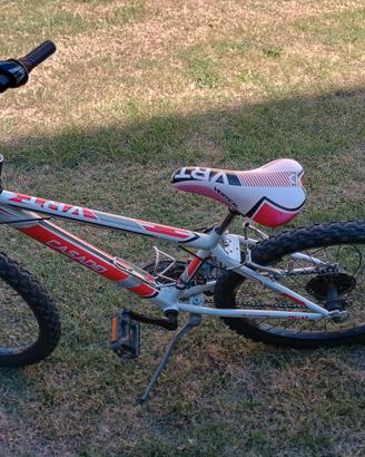 Bicicletta ragazzo Casadei Verical 24