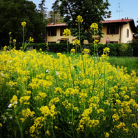 Appartamento brevi periodi San Lazzaro di Savena