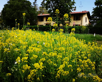 Appartamento brevi periodi San Lazzaro di Savena