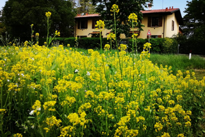 Appartamento brevi periodi San Lazzaro di Savena