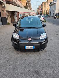 fiat panda 2023