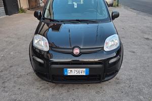 fiat panda 2023