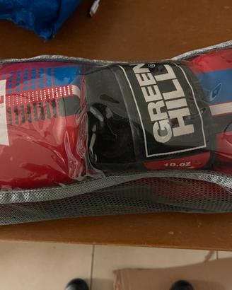 Guantoni da boxe GreenHill professionali