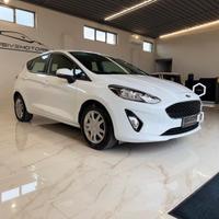 Ford Fiesta 1.0 Ecoboost 125 CV 5 porte