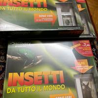 Insetti da tutto il mondo De Agostini