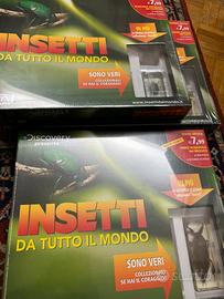 Insetti da tutto il mondo De Agostini