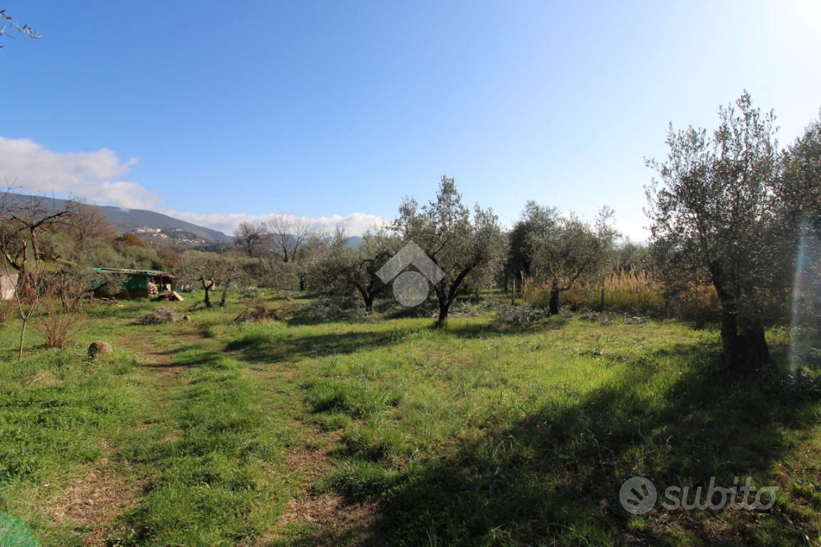 TER. AGRICOLO A MONTOPOLI DI SABINA - Vista 3
