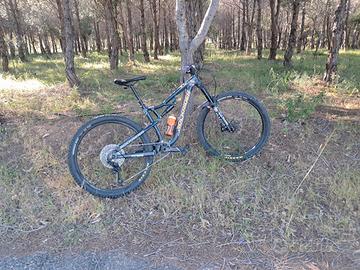  rockrider am50 