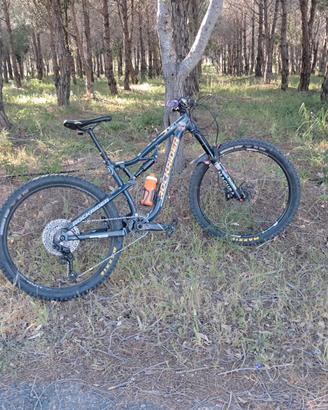  rockrider am50 