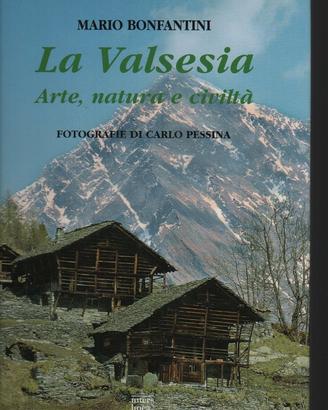 Mario Bonfantini LA VAL SESIA