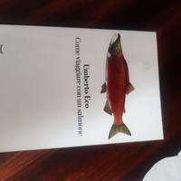 Come viaggiare con un salmone , Umberto Eco