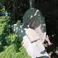 TAVOLO IN PIETRA PANCA FUNGHI VASI