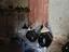 Immagine 17