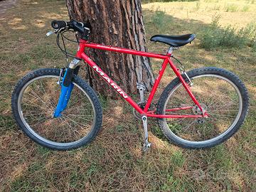 bici mountain bike