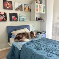 Letto singolo Battistella