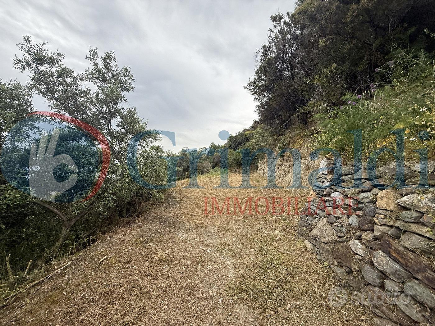 Terreno Agricolo Messina [0681-47VCG] - Vista 2