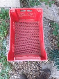 Cassette per uva o olive