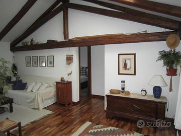 Raffinata mansarda arredata con giardino