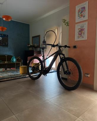 Trek Marlin + 8 eMTB