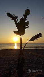 Casa vacanze Baia Garden