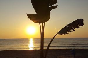 Casa vacanze Baia Garden