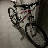 Mountain bike Donna