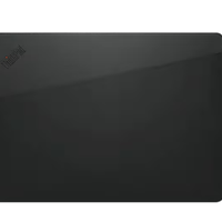 Custodia ThinkPad Professional da 13-14"