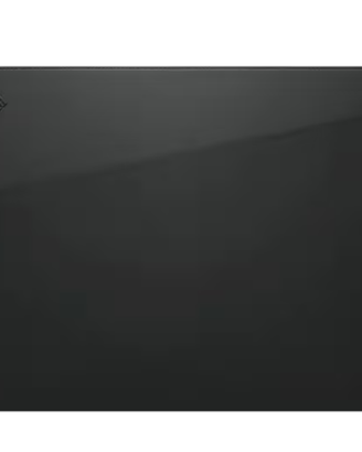 Custodia ThinkPad Professional da 13-14"