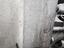 Immagine 16
