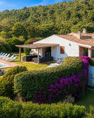 Villa indipendente con piscina - Arzachena