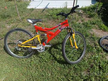 5 bici