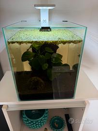 Acquario 30 L