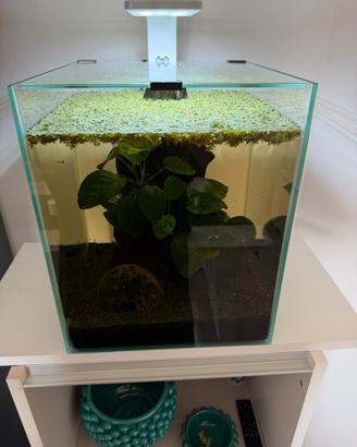 Acquario 30 L