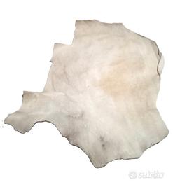 PELLE DI CAVALLINO CON PELO COLORE PANNA