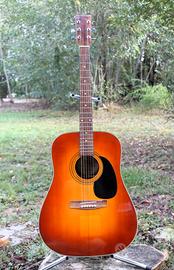 Chitarra Wild Eagle