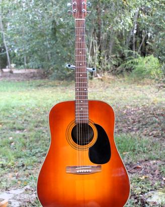 Chitarra Wild Eagle