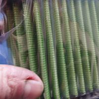 Filtro aria Buell 1200