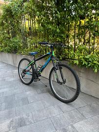 bicicletta OLMO sentiero 24"