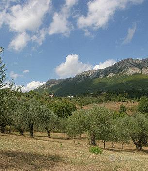Terreno agricolo panoramico ideale per agriturismo - View 2