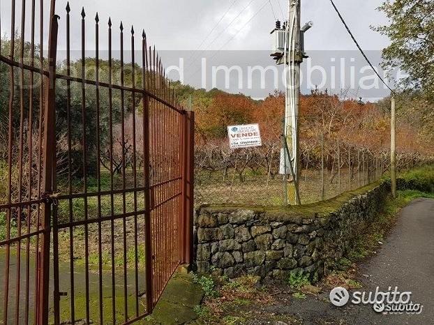 Terreno 5 ettari con fabbricato Piedimonte Etneo - Vista 5