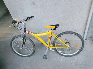 bici montabaik da donna in buone condizioni