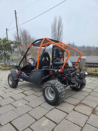 BUGGY QUAD TARGATO