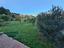 Immagine 28
