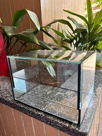 Terrario rettili o anfibi