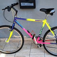 bicicletta MTB