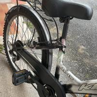 Bicicletta da 24 con marcie