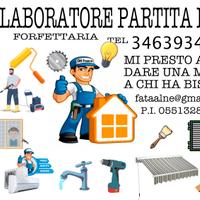 Collaboratore partita iva