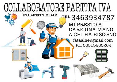 Collaboratore partita iva