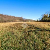 TER. AGRICOLO A SOIANO DEL LAGO