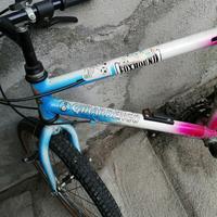 Mtb bimbo